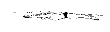 ANIM05.GIF (4175 bytes)